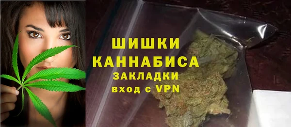 гашик Белокуриха