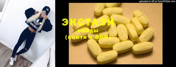 спиды Богородицк