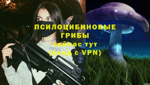гашик Белокуриха