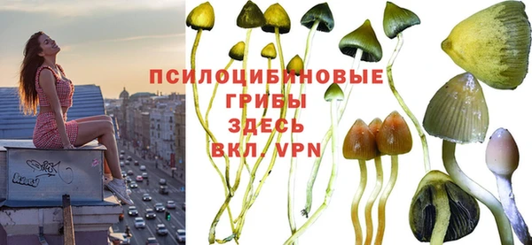 бошки Белоозёрский