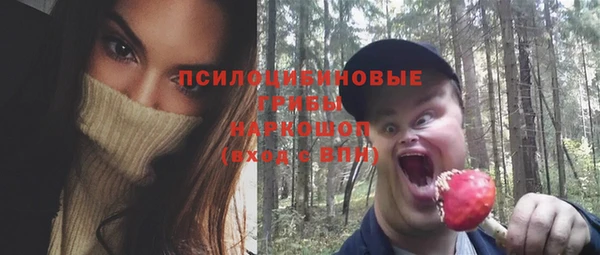 гашик Белокуриха