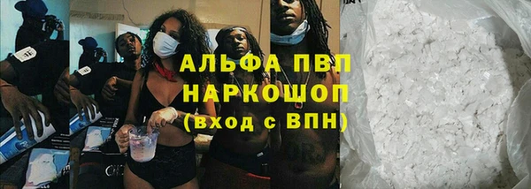 гашик Белокуриха